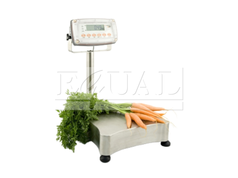 Stainless Steel Wash Down Scale